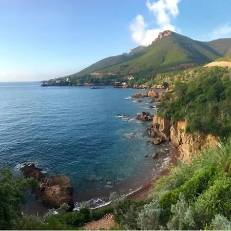 Santa Rita Etage Entier Avec Jardin Saint-Raphaël